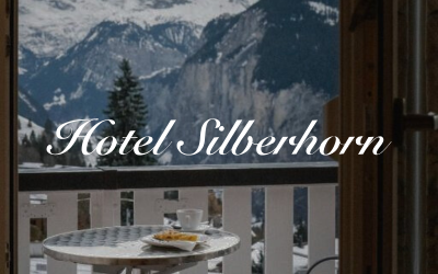 Hôtel Silberhorn